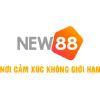 Dff6fb new88it logo (1)